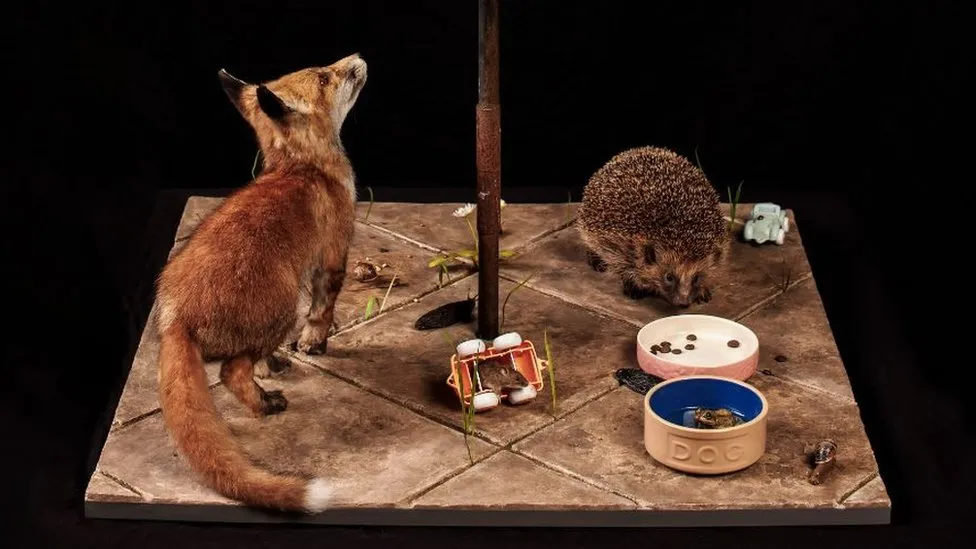 Fox and a hedgehog playing near pet food.